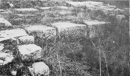 Devnja
