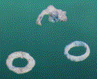 A bronze earring and rings