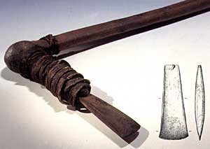 The Iceman's Axe